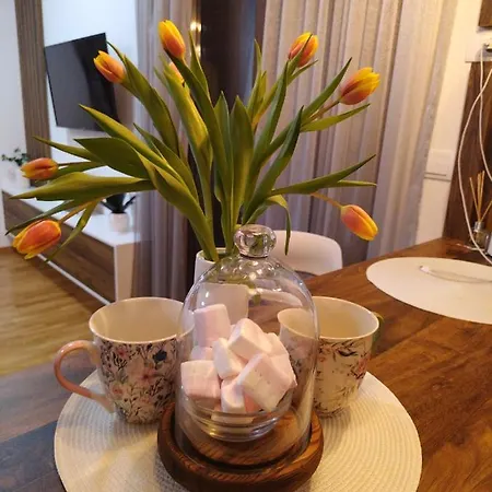 33 Luxury&spa * Zlatibor