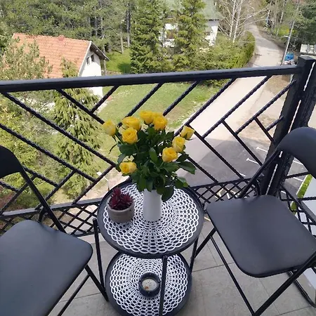 Apartment 33 Luxury&spa Zlatibor