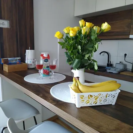 33 Luxury&spa Appartamento *