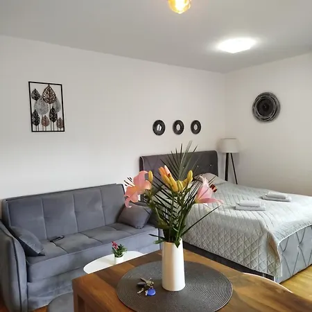 33 Luxury&spa Appartamento Zlatibor