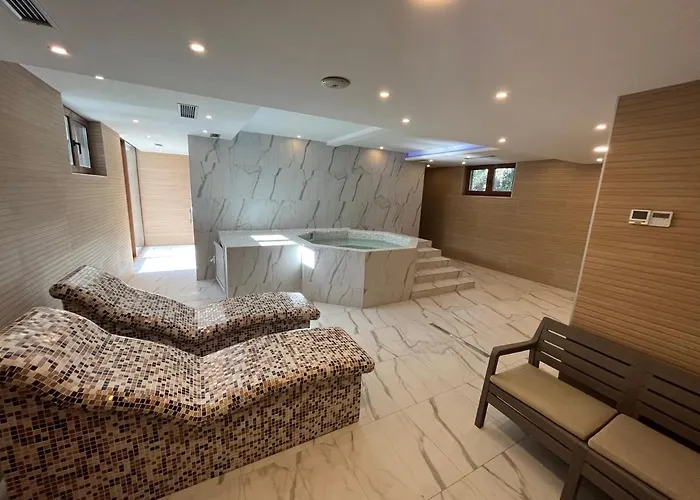 33 Luxury&spa Lejlighed Zlatibor