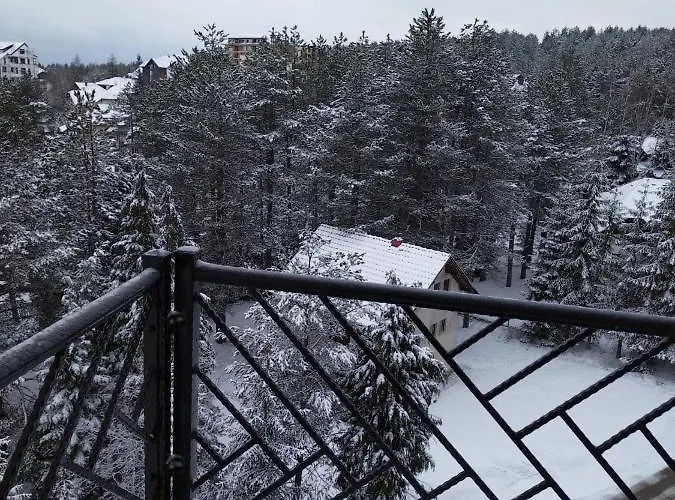 33 Luxury&spa Lejlighed Zlatibor