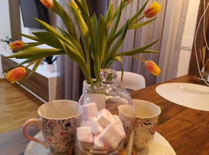 33 Luxury&spa * Zlatibor