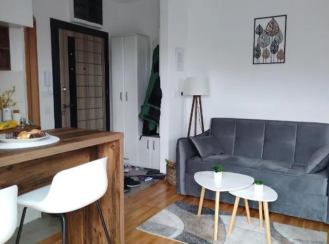 Lejlighed 33 Luxury&spa Zlatibor