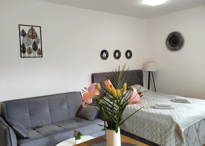 33 Luxury&spa Lejlighed Zlatibor