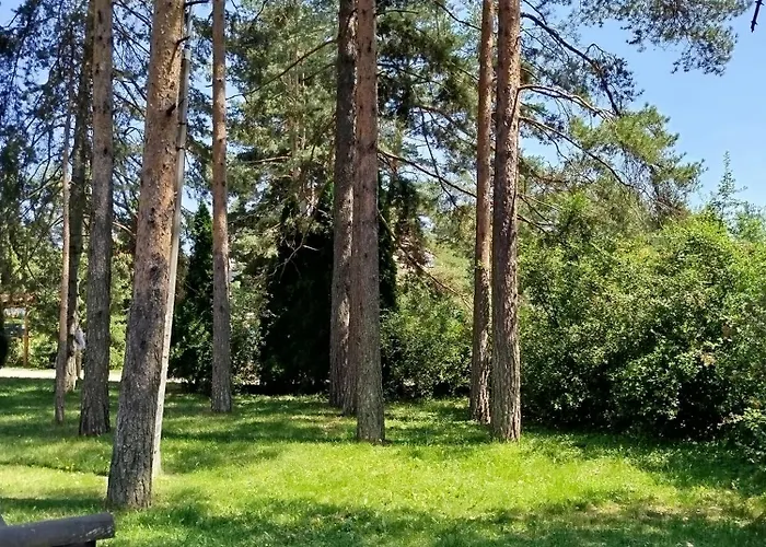 33 Luxury&spa Lejlighed Zlatibor